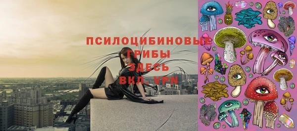 прущие крисы Армянск